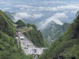 张家界6天游玩避雷大全新手实地总结拒绝套路消费亲身经历分享张家界旅游五日游不绕路